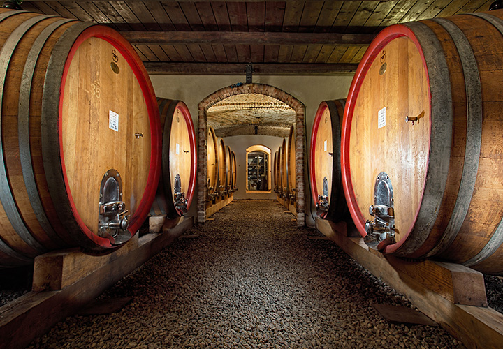langhe wine tasting, alba wine tours