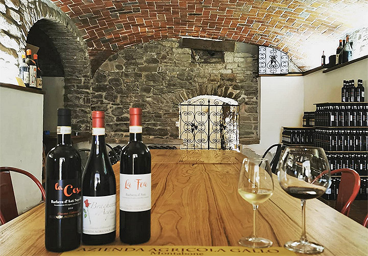 degustazione vini piemonte nelle migliori cantine in piemonte da visitare