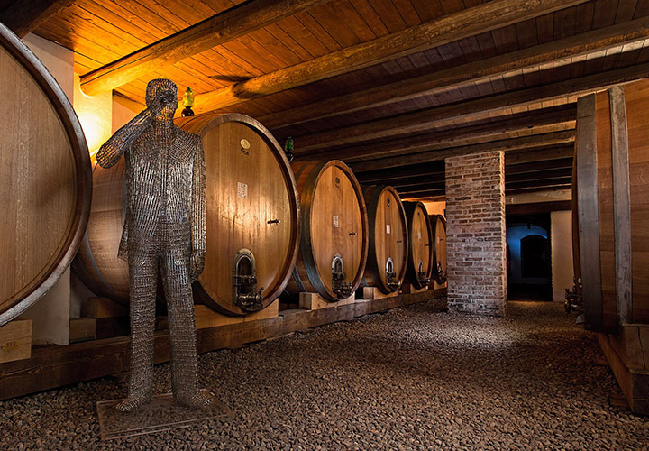 langhe wine tasting, alba wine tours